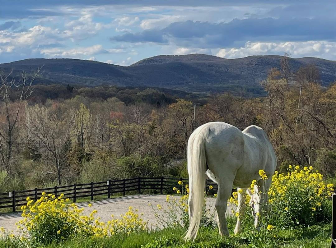Minutes from Metro North and charming Cold Spring village, this equestrian paradise offers a rare blend of natural beauty and accessibility.