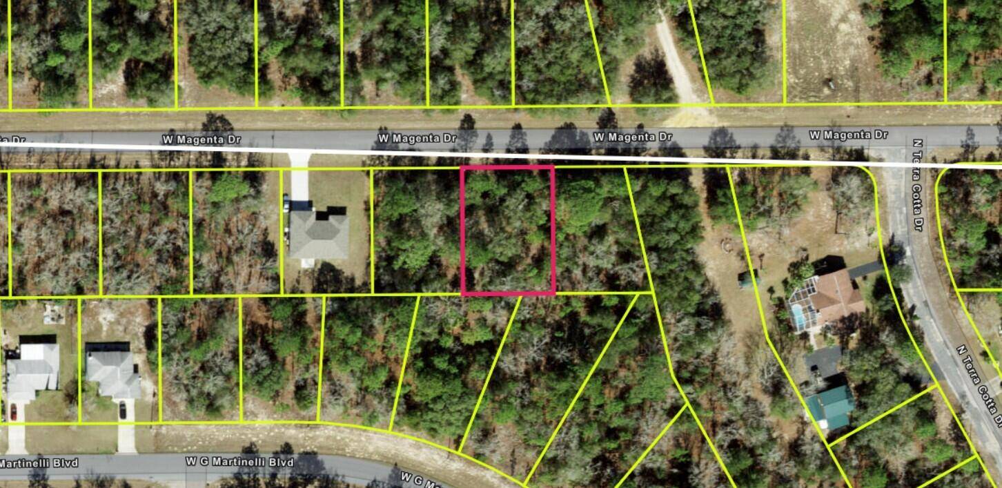Prime Buildable Lot in Growing Citrus Springs !