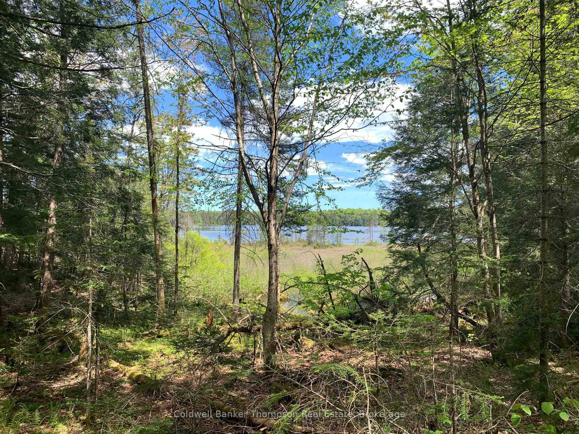 16 Acres with 1380' of shoreline on Deer Lake.
