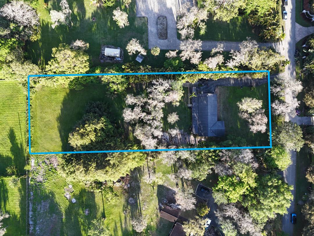 THE ONE YOU HAVE BEEN WAITING FOR !