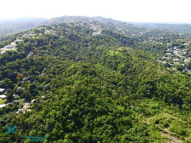 CARR 349 Land Mayaguez