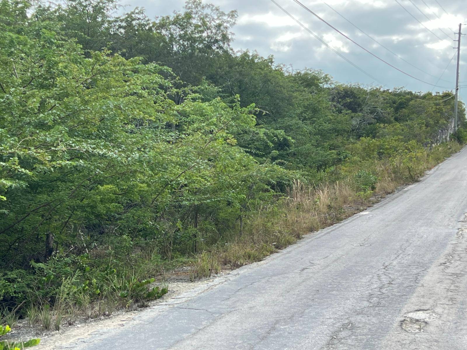 ZEBRA FISH ROAD Land Exuma-And-Exuma-Cays