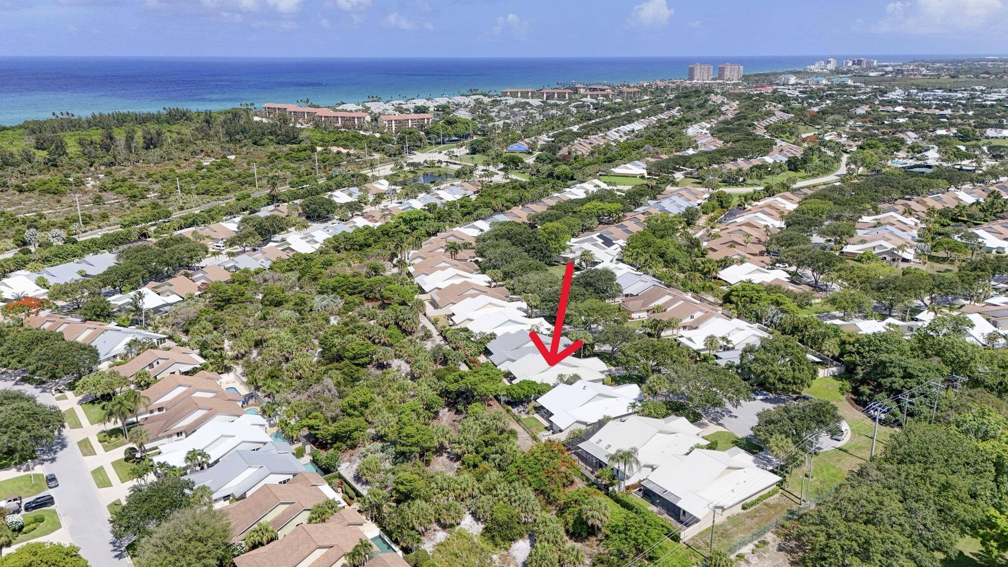Live Elevated in Jupiter !