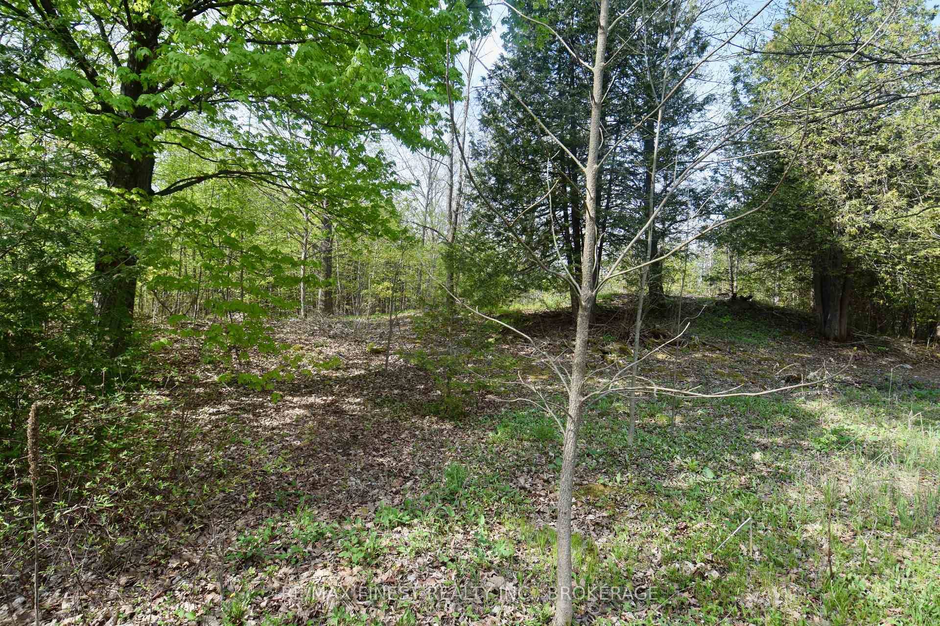 Lot 3 is nestled along the shores of the Salmon River with this residential building lot.
