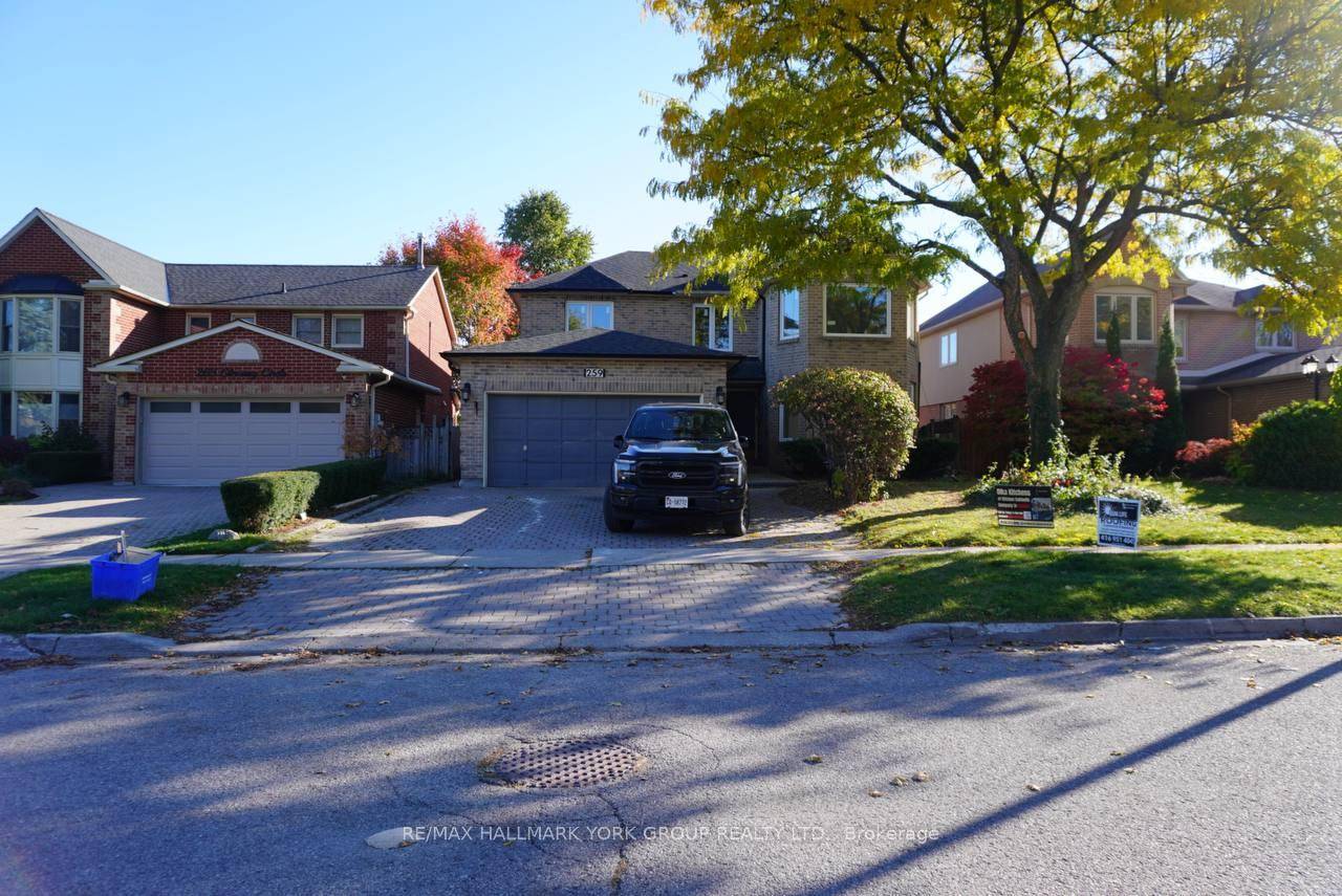 Bright WALKOUT Basement Apartment in Prime Newmarket Location !