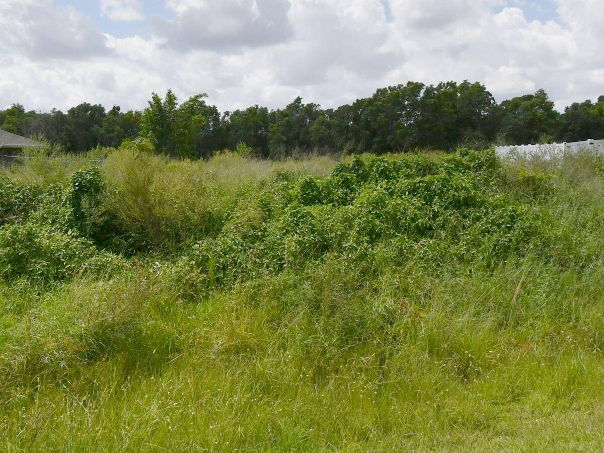 BUILD YOUR DREAM HOME ON THIS BEAUTIFUL PROPERTY IN DESIRABLE NORTH TORINO IN PORT ST LUCIE.