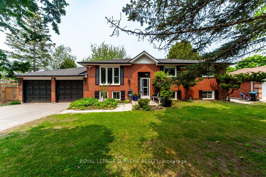 Beautifully Renovated Bungalow with Bright Walk Up Basement !