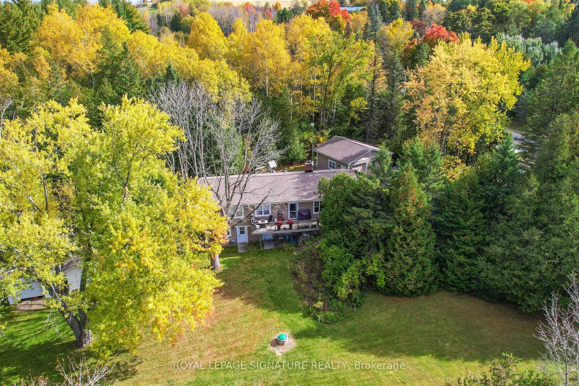 Looking for Peace and Tranquility ?