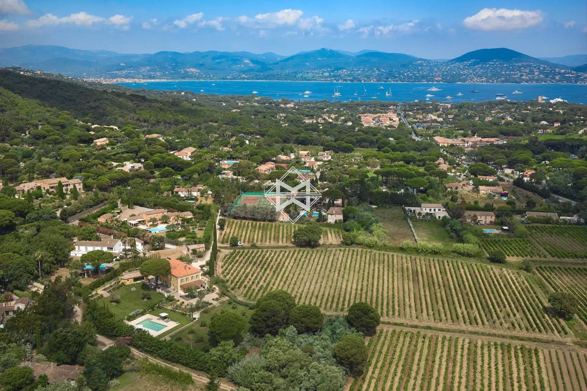 In the heart of the Ramatuel vineyards