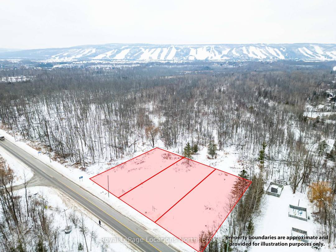 Build your dream home in the heart of Blue Mountain.