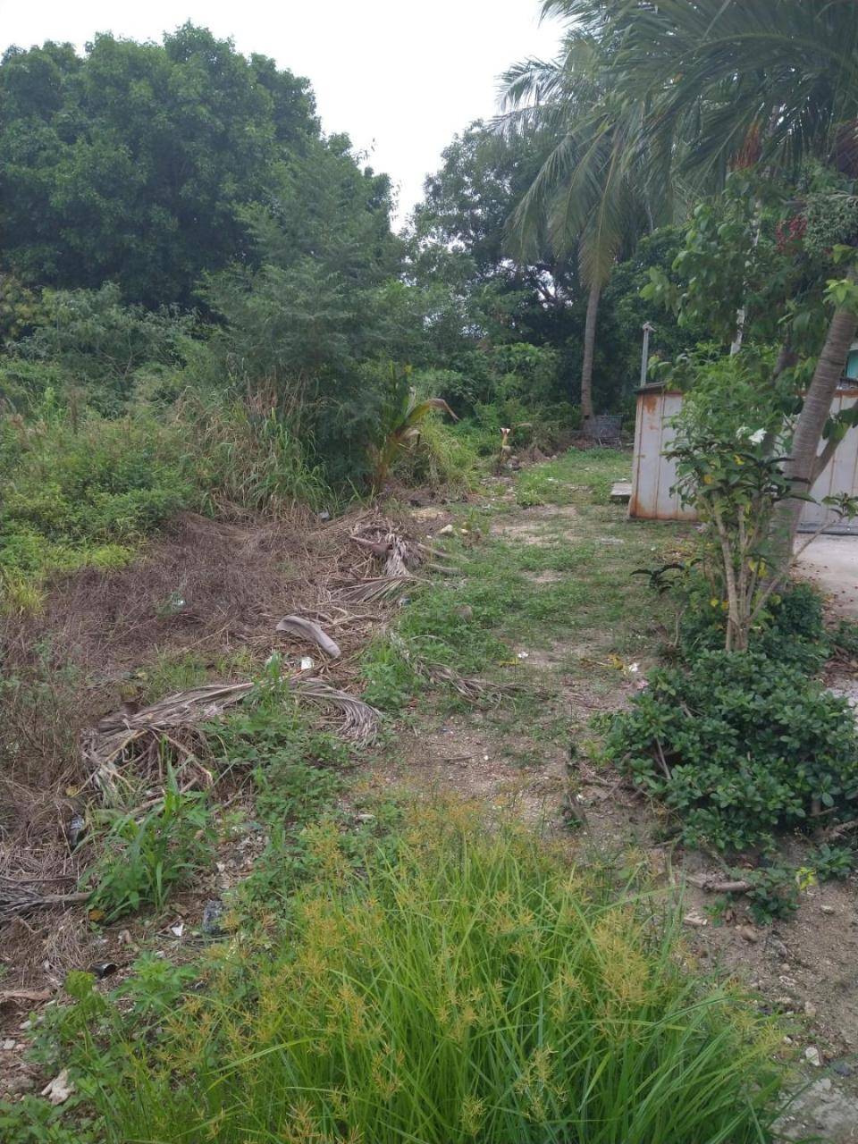 WINDOR PLACE ROAD Land New-Providence