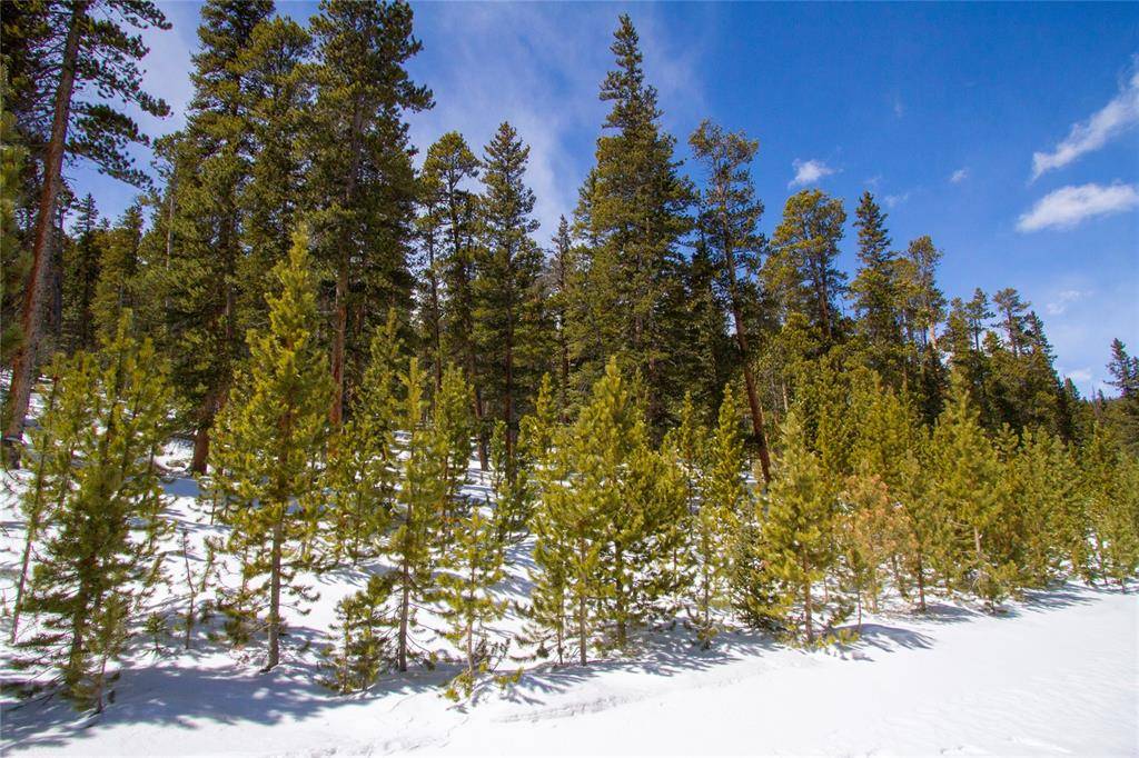 Only 4 miles into Valley of the Sun lies a 2 acre, peaceful, wooded property with with a gentle slope and plenty of potential.