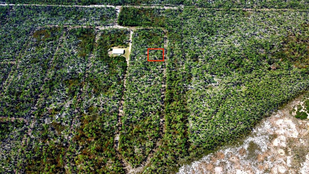 BAHAMA HARBOR SUBDIVISION Land Andros