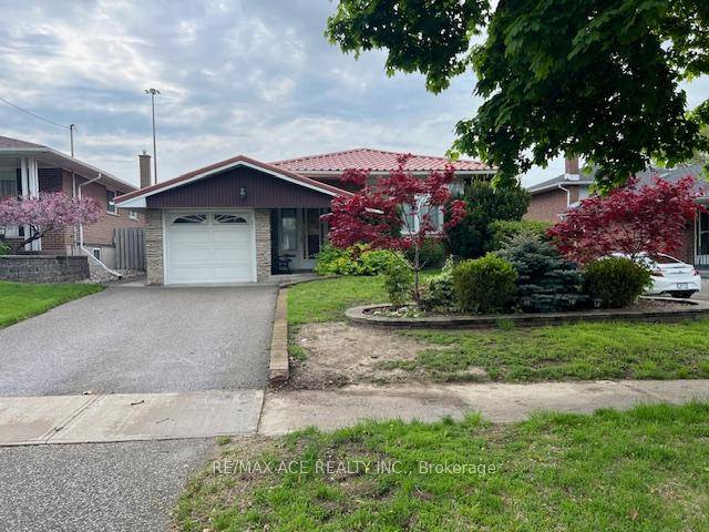 Beautiful detached well maintained 3 bed room bungalow,, open concept layout, large fenced backyard, Matured and peaceful neighborhood.
