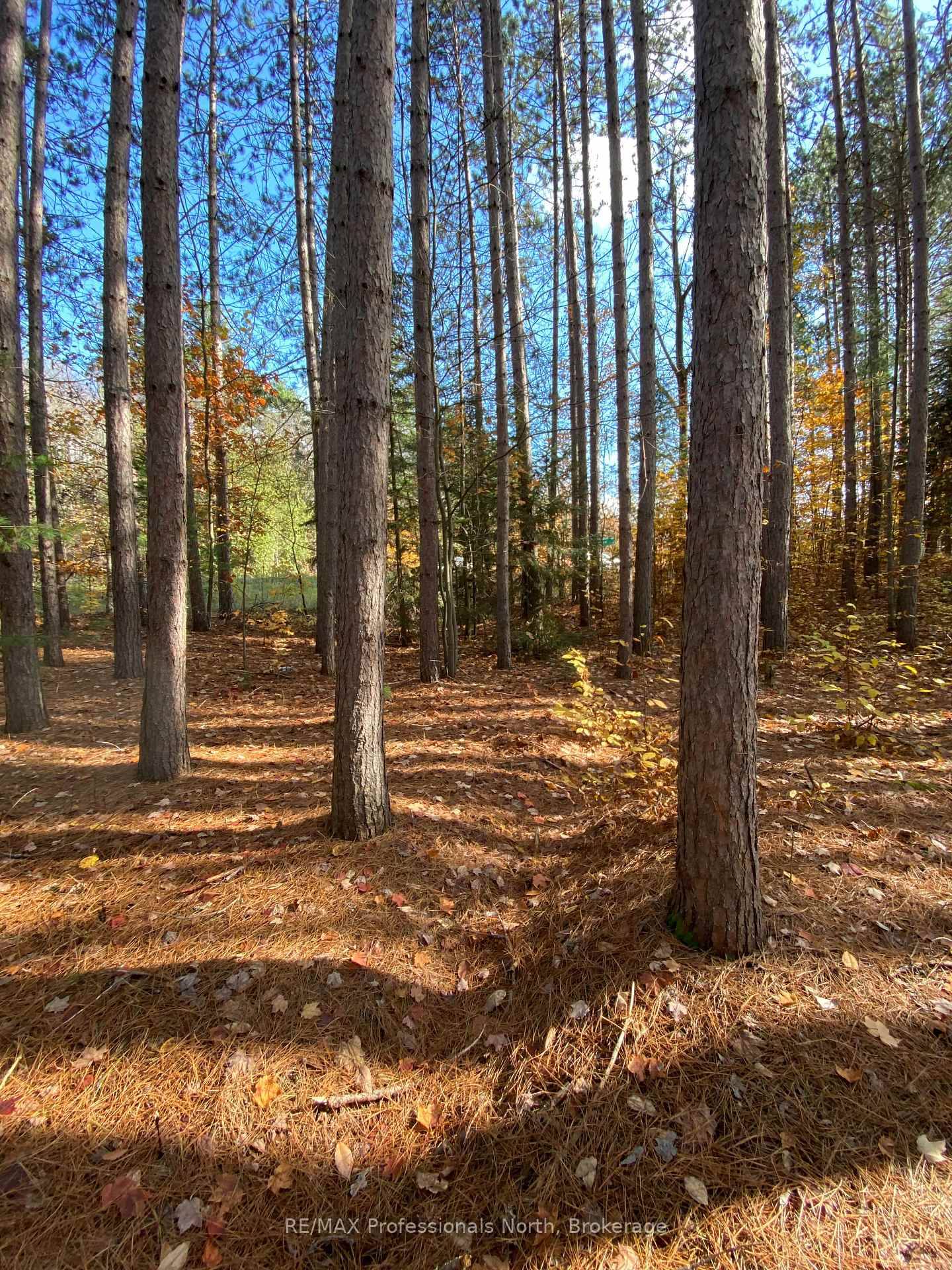 Two road frontages for more options.