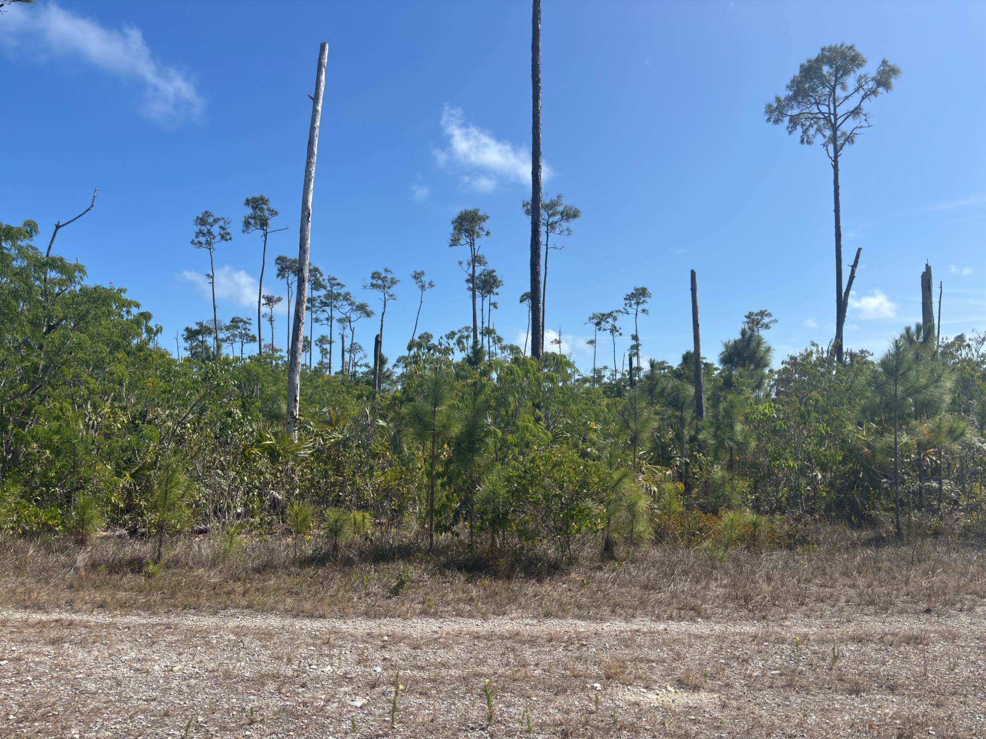 RANGER RD Land Grand-Bahama-Freeport