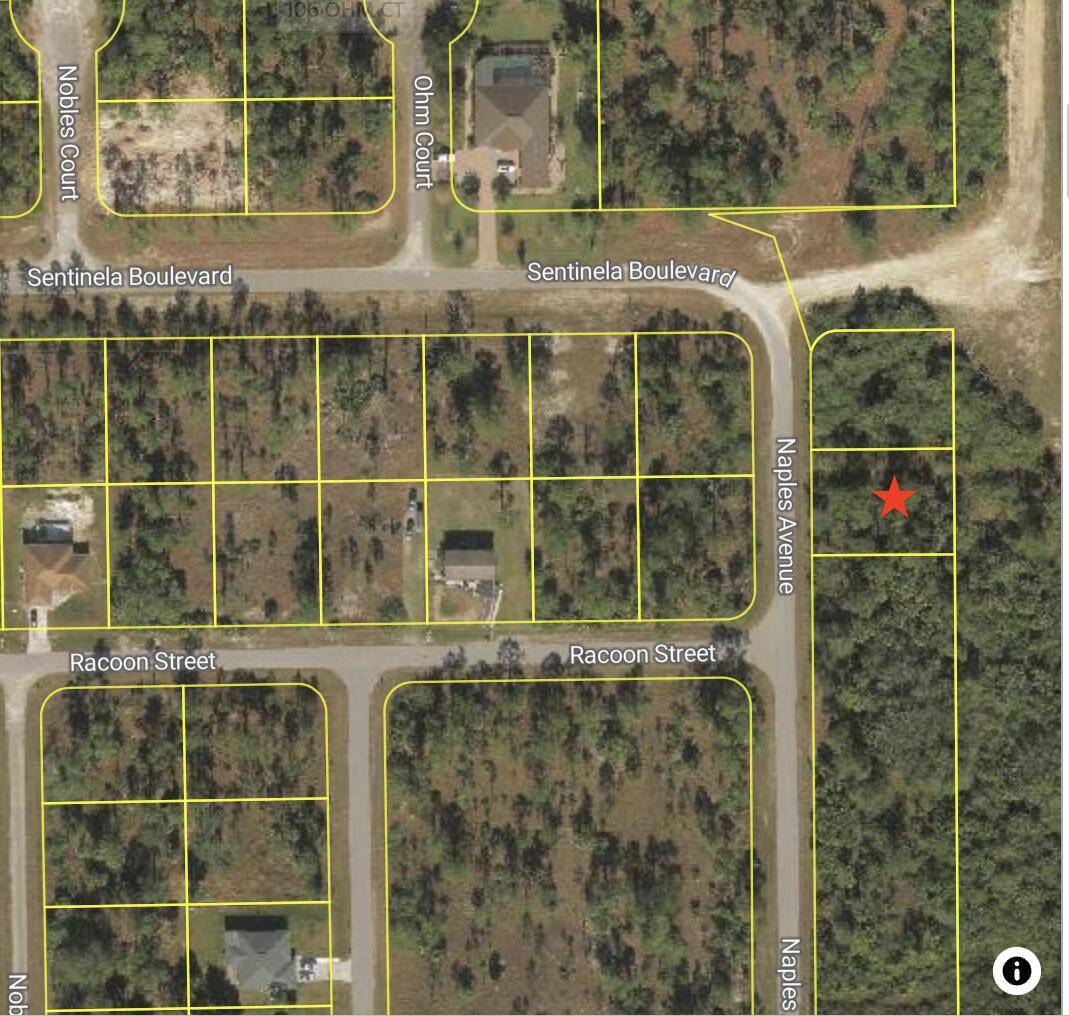 BUILD YOUR CUSTOM HOME ON THIS.
