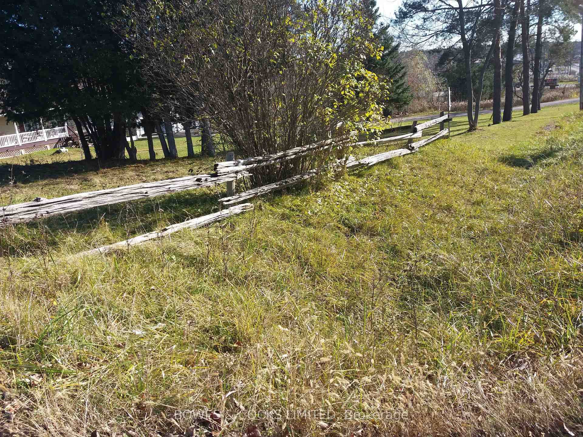 Vacant Building Lot in Coboconk Ready to Build !