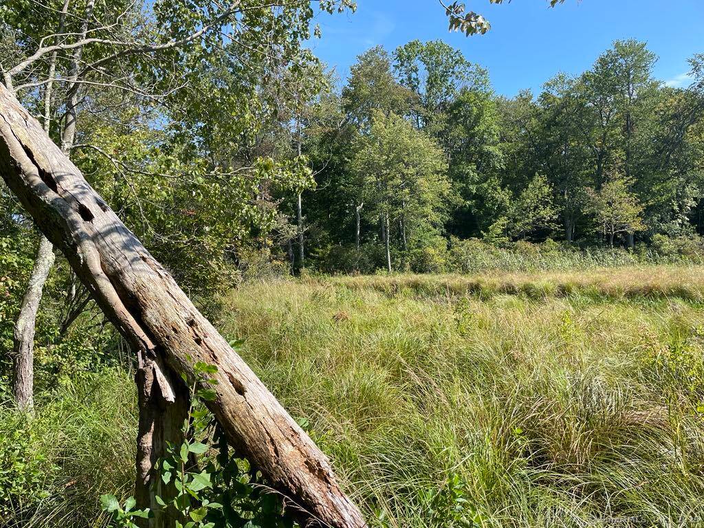 Tranquil 153 Acre Parcel Abutting Natchaug Yale Forests A Rare Opportunity in Nature's Embrace Discover a breathtaking 153 acre parcel of unspoiled land offering unmatched peace, privacy, and natural beauty.