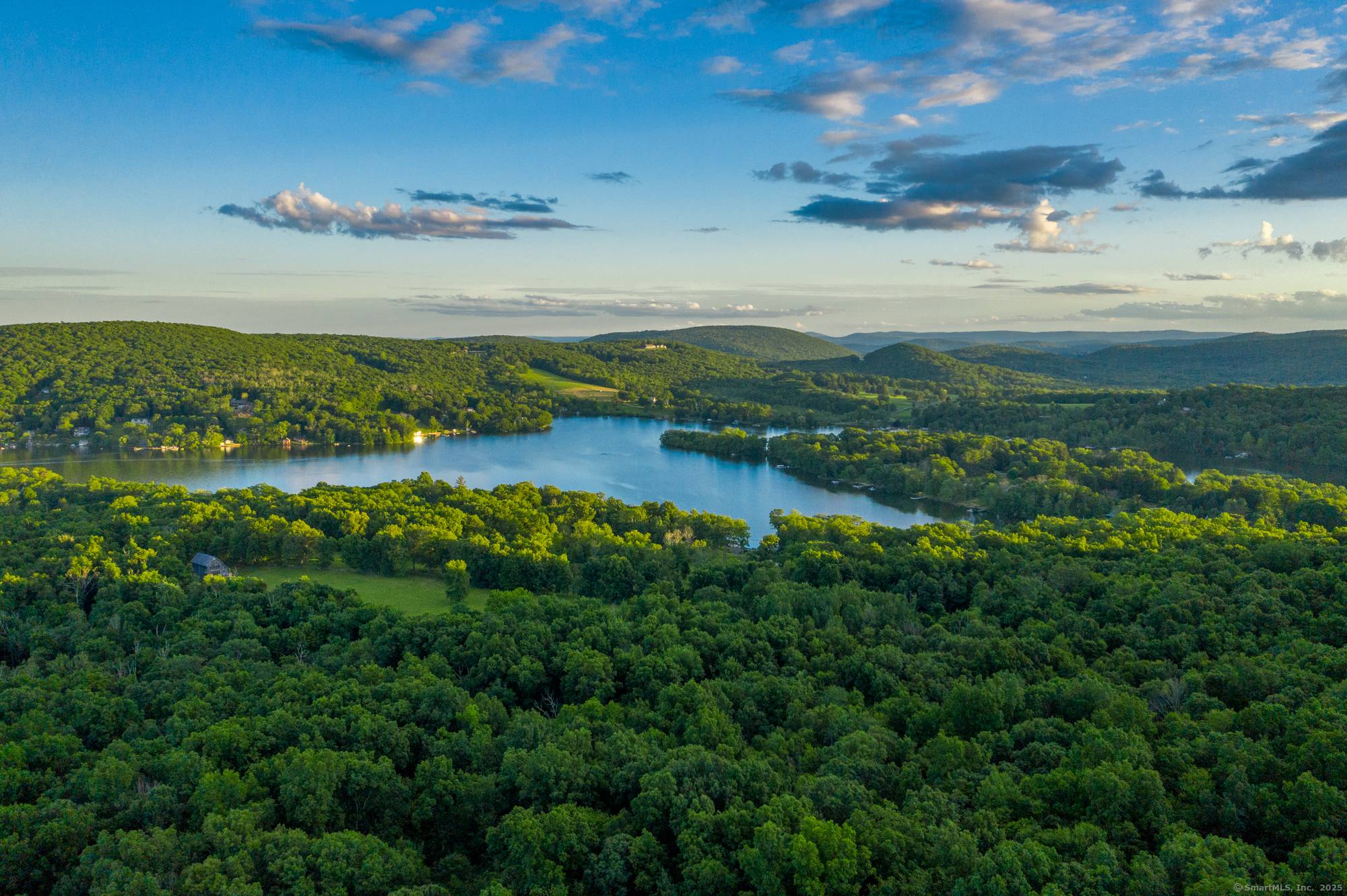 Nearly 50 acres of woods with mature native oak, maple, hickory, and birch trees with frontage on a scenic country road.