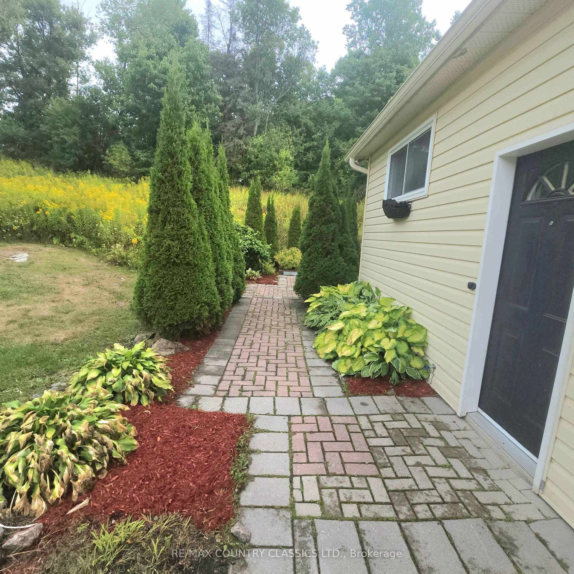 Rare double corner lot located in the heart of Bancroft, featuring highly desirable Commercial Main Street zoning !