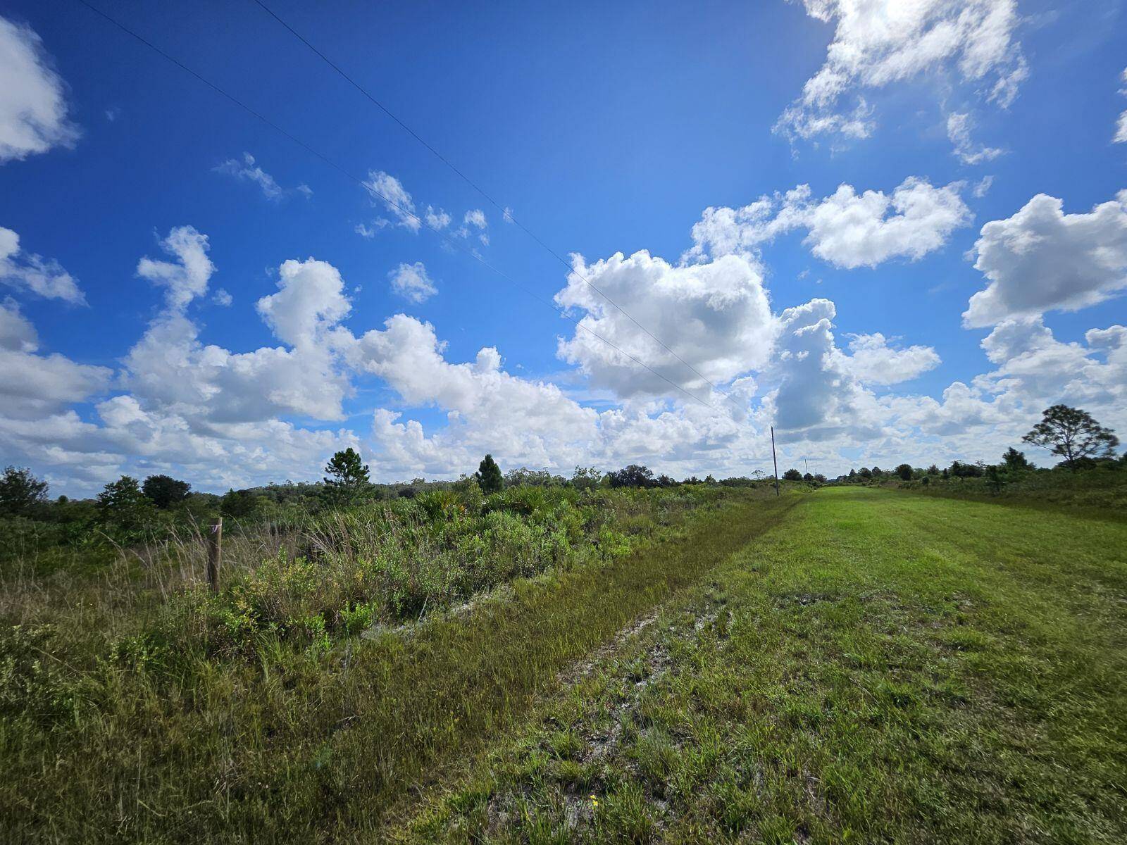 This beautiful, high and dry vacant lot is the perfect canvas for your dream home, perfect for accommodating your animals or a place to house your toys.