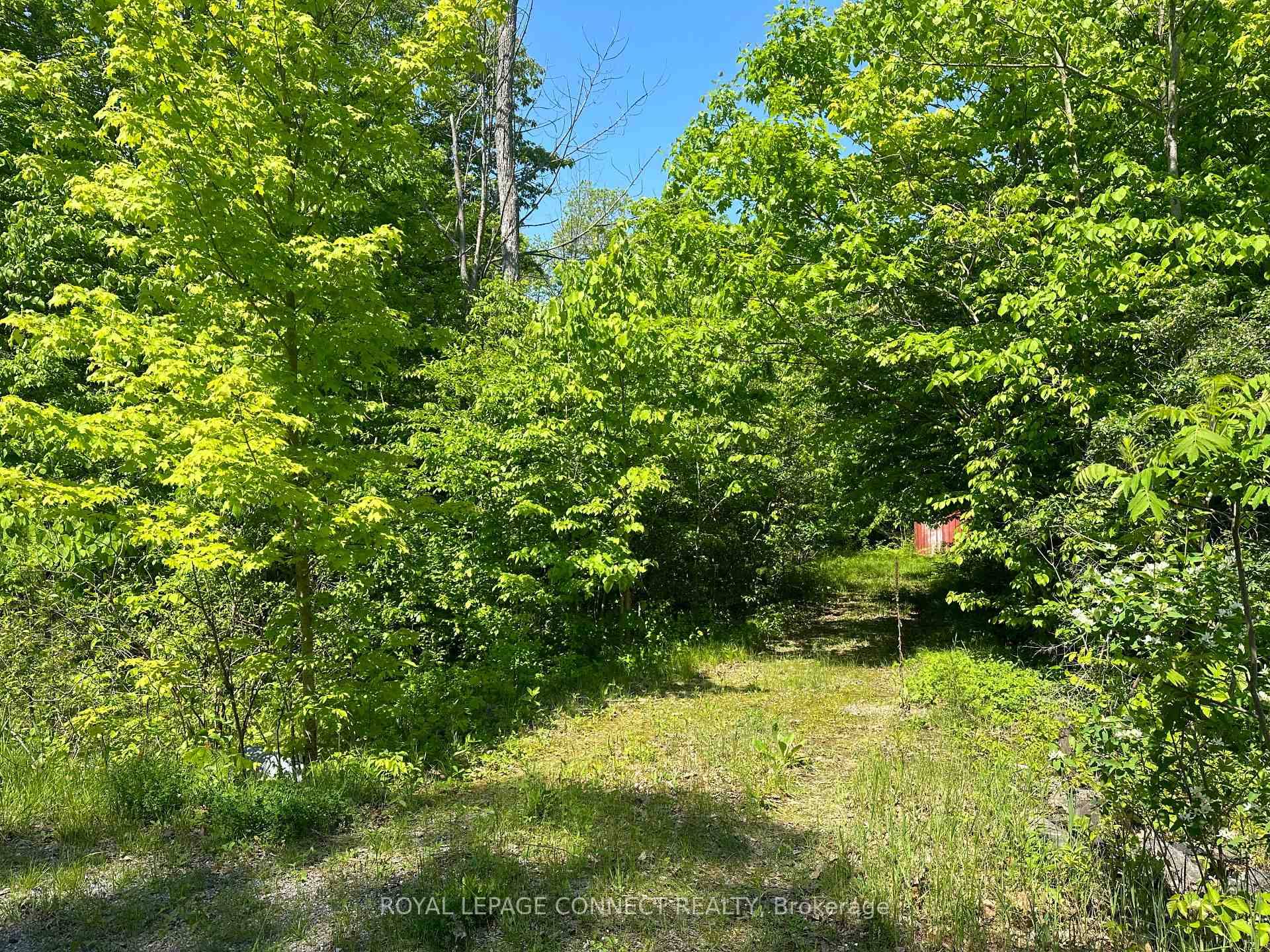 Peaceful Waterfront Lot 160 Ft of Shoreline amp ; Ready to Go Extras Welcome to 21 Riverside Drive on Meyer's Island, where a slower pace, natural beauty, and small town ...