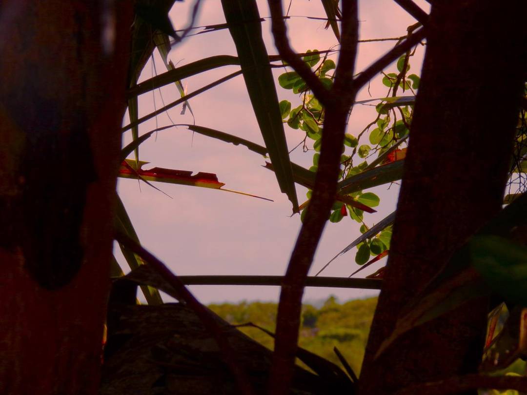 STELLA MARIS LOT$ 86 Land Long-Island-Bahamas