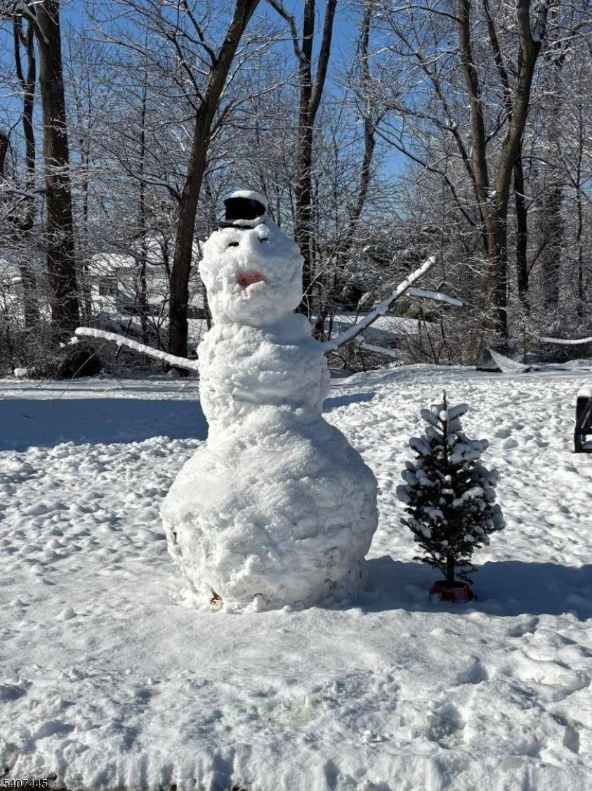 JUST LISTED ! Recently updated, inside it's larger than it looks from the street, 4 BR and 3 Full Baths !