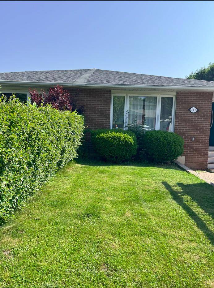 Bright amp ; Spacious 1 Bedroom Basement Apartment Heart of Streetsville.