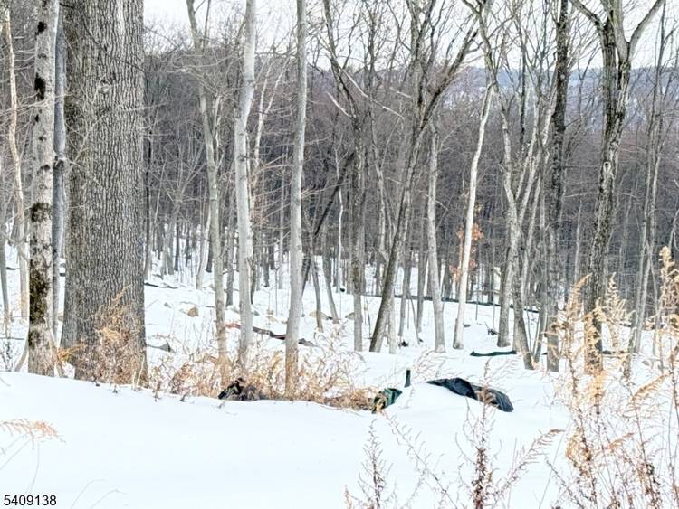 This is your chance to build your dream home in Boonton Township !