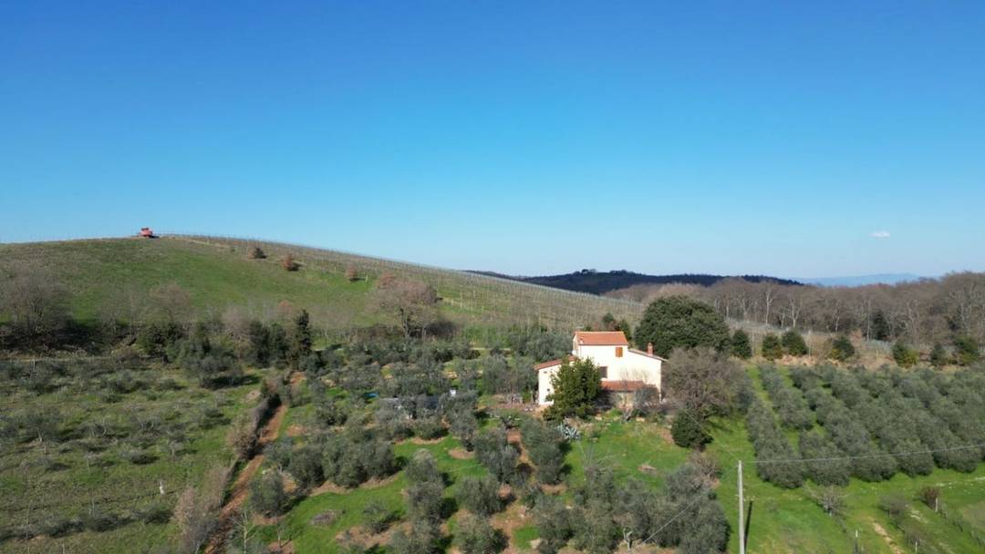 Villa with independent flats, garage and olive grove for sale just a few minutes from Trequanda, between Valdichiana and Val d'Orcia.