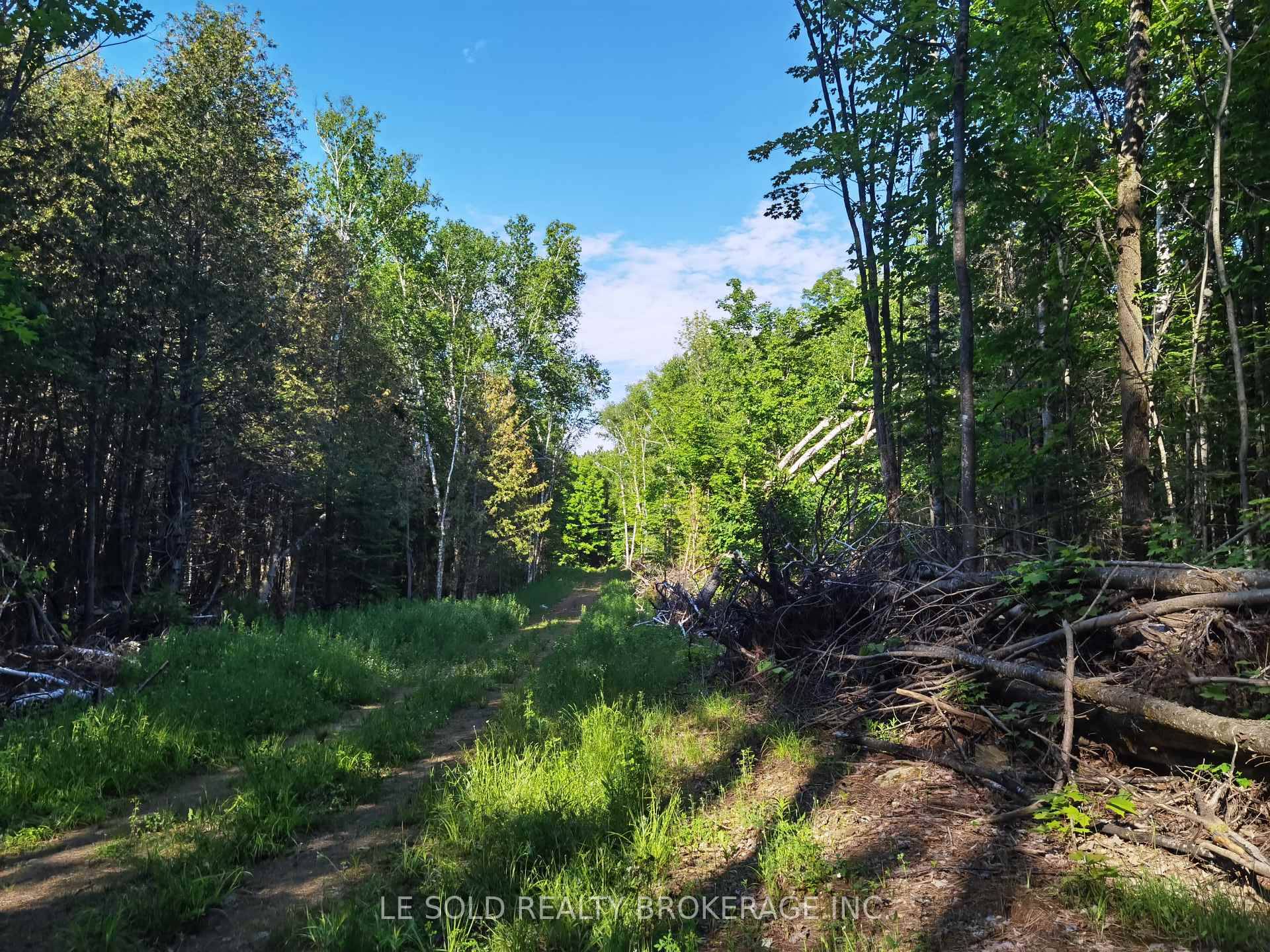 1 acre vacant land for lease.