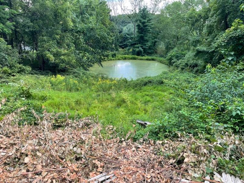 Large and deep. 57 acre building lot for sale, less than 1.