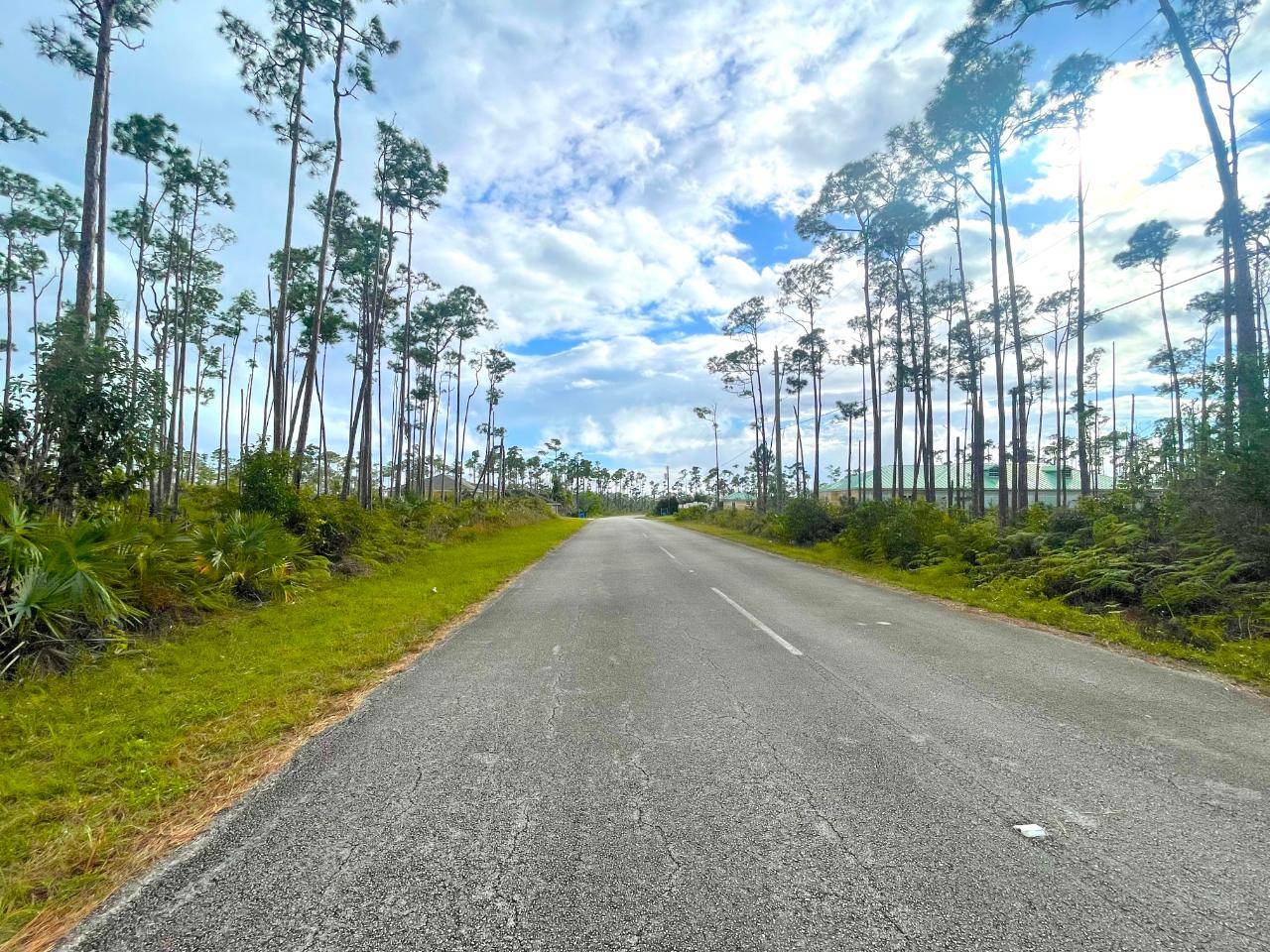 BUTTERWICK ROAD Land Grand-Bahama-Freeport