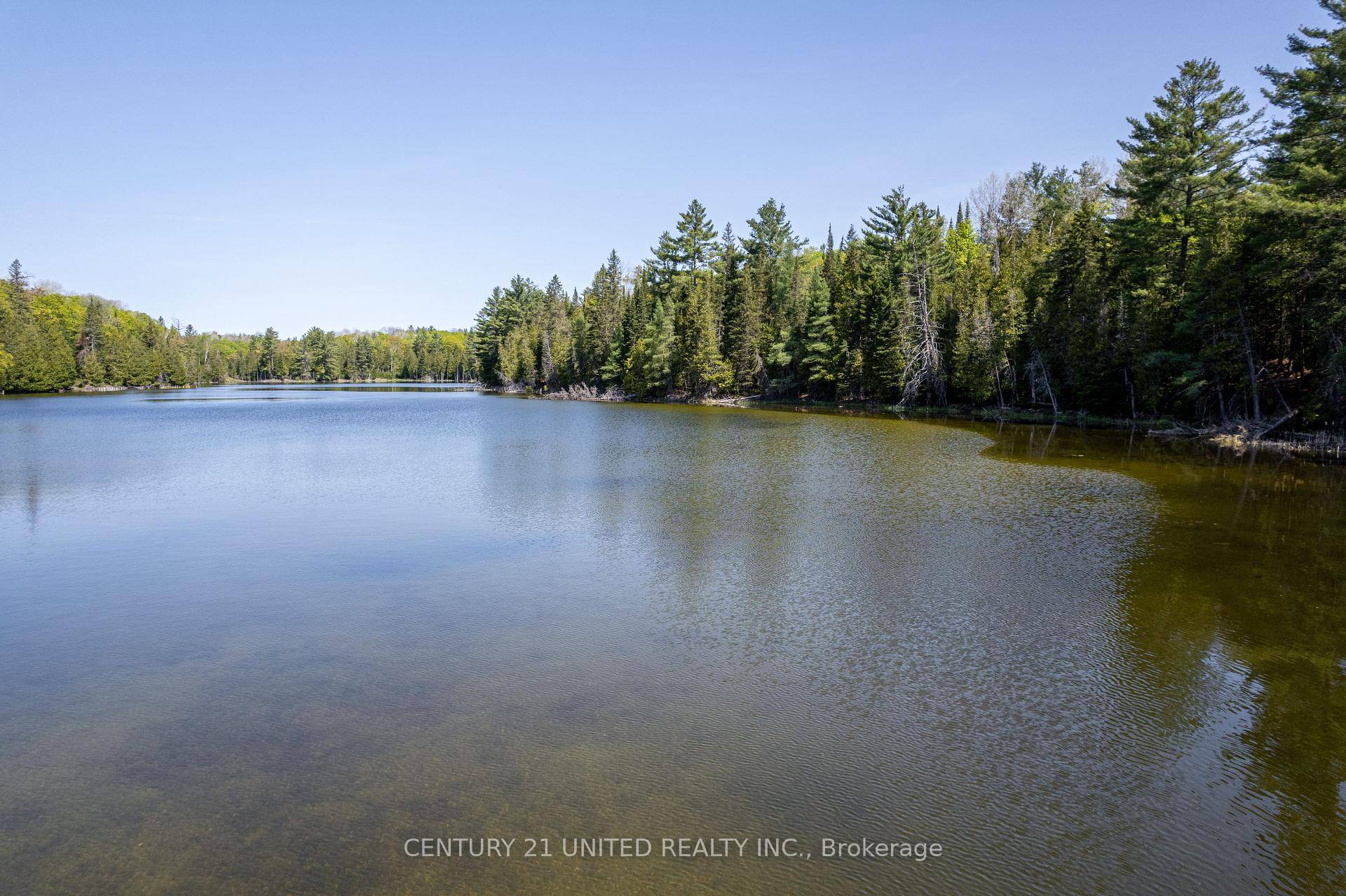 Looking For Your Very Own Private And Peaceful 78 Acres On A Small 16 Acre Lake Then Look No Farther This Nature Lover's Paradise Is Located A Short Drive North ...
