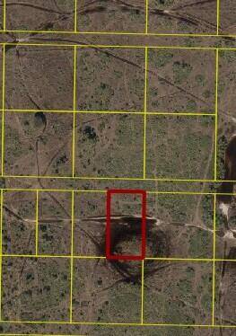 This is in an area that backs up to Kissimmee Prairie Preserve.