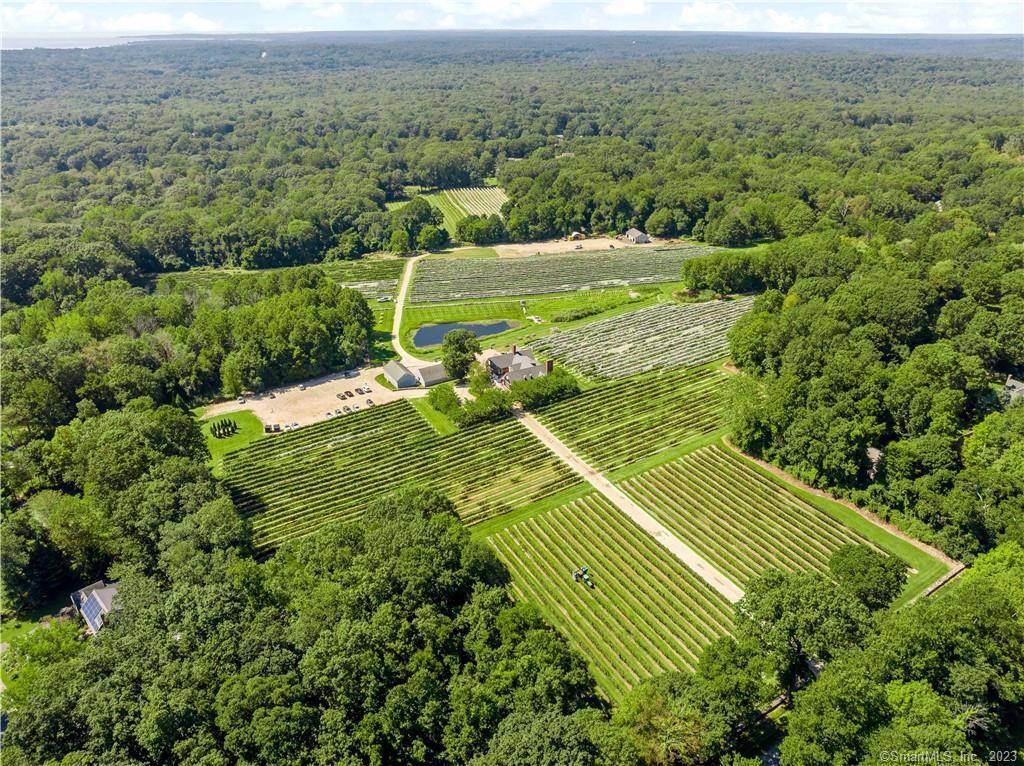 Chamard Vineyards is among the most beautiful traditional of New England wineries.