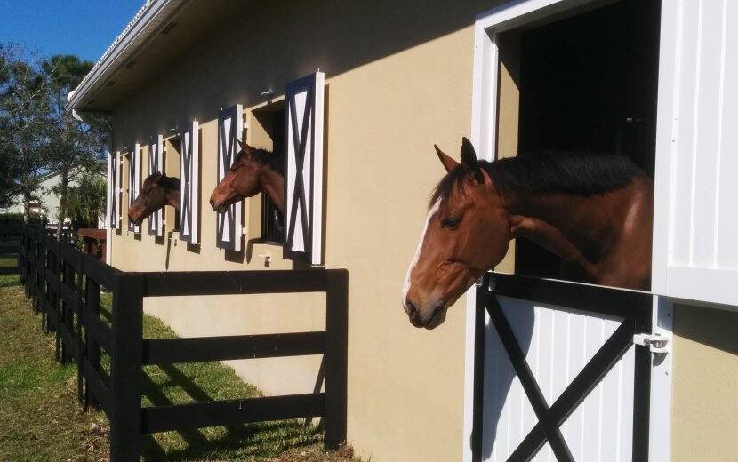 Beautiful new 10 stall barn for rent in Wellington FL, short hack to WEF, huge GGT ring, full set of jumps, direct bridal trail access, tractor with drag and bucket ...