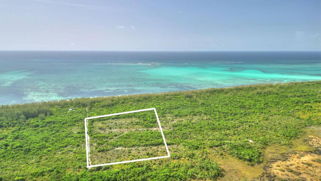 9 ACRES AT HIGH BANKS Land Abaco