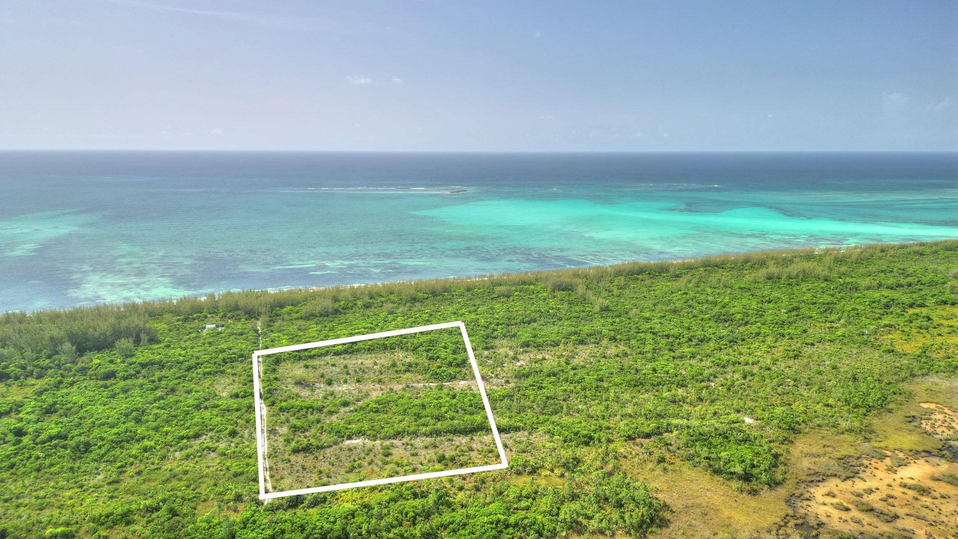 9 ACRES AT HIGH BANKS Land Abaco