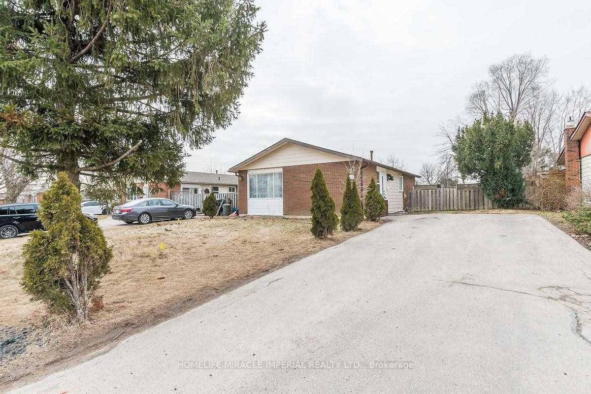 Bright and Spacious 2 Bedroom Basement With Separate Entrance Available Immediately !