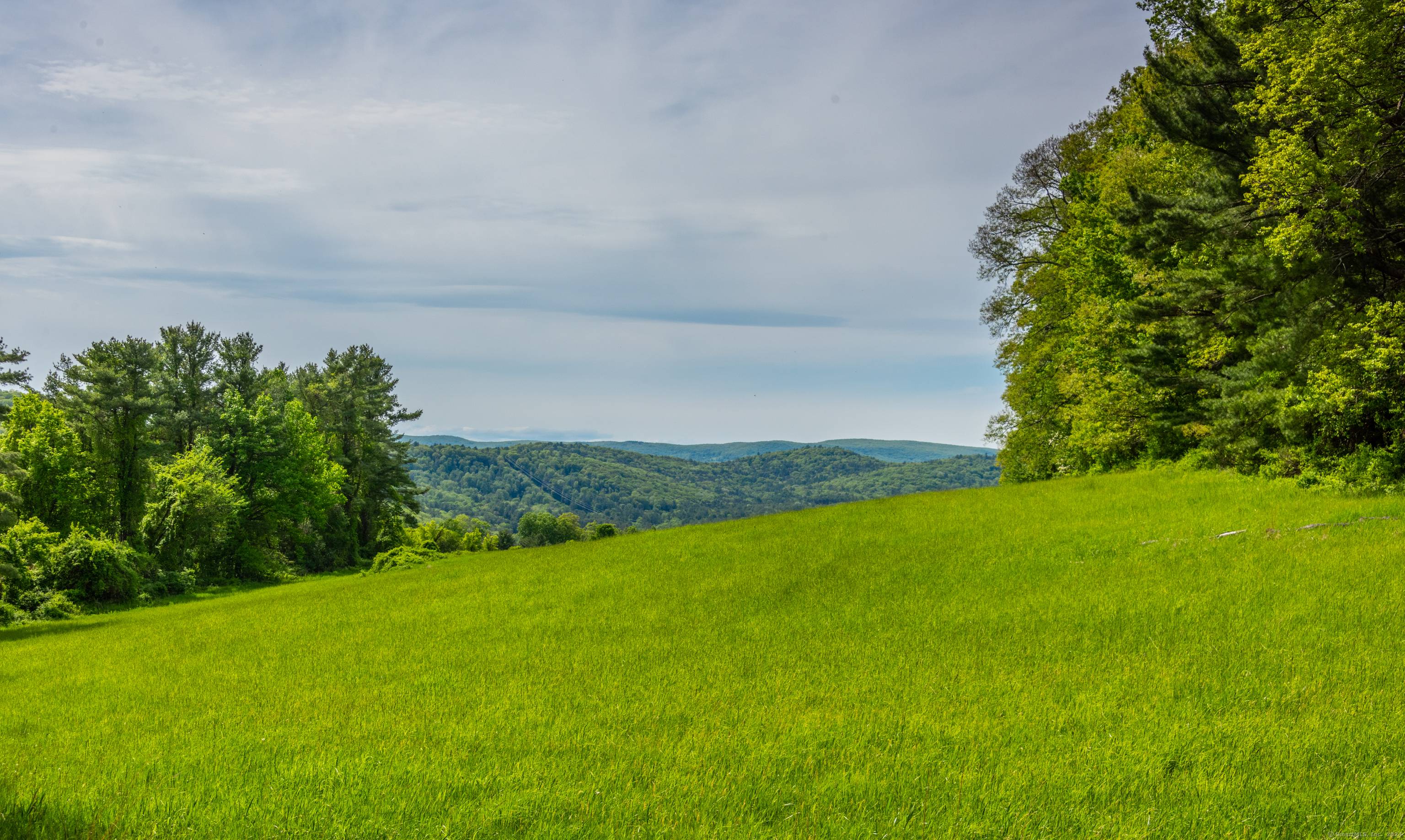 This stunning 29 acre lot is part of a subdivision from a much larger parcel.