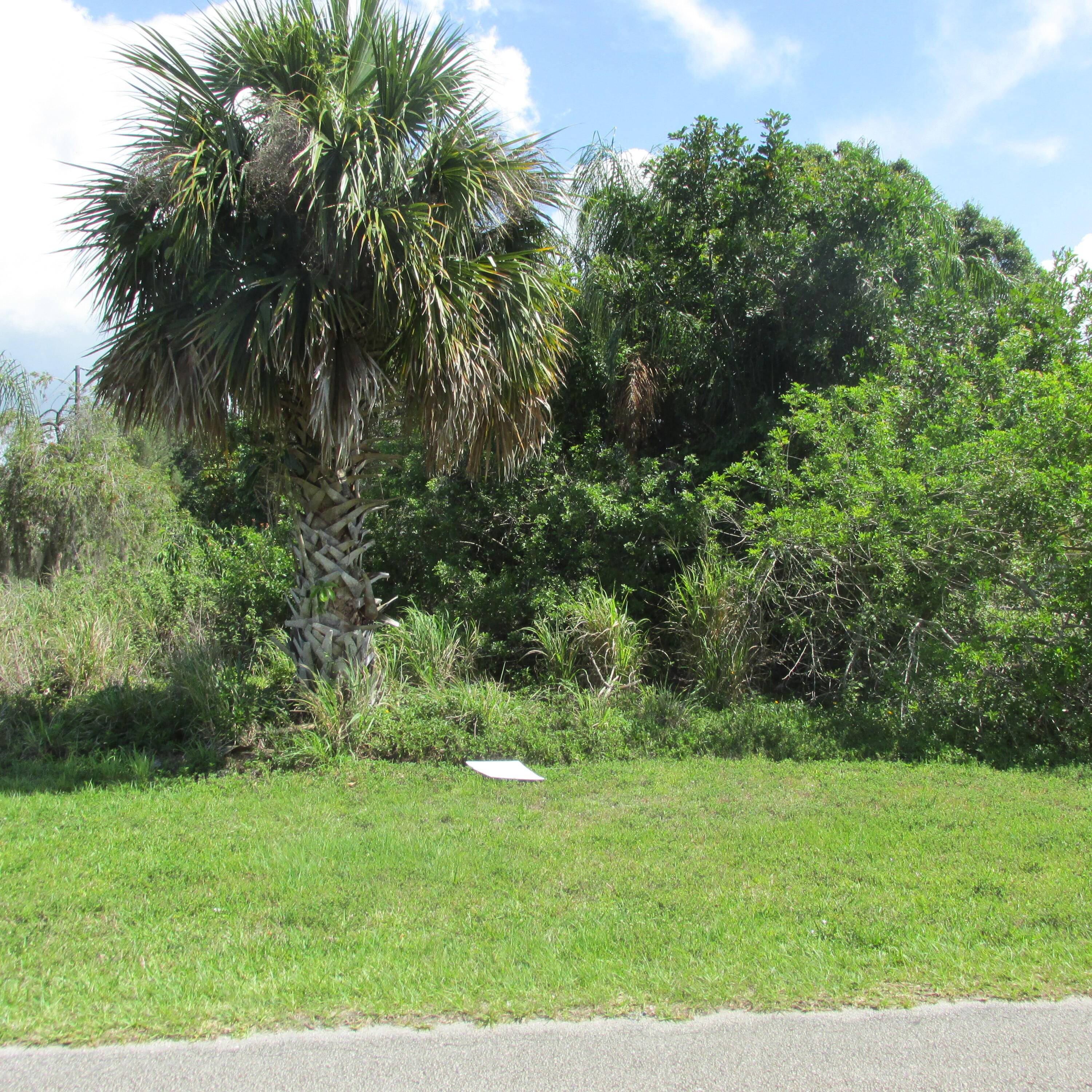 Beautiful lot in the Sandpiper neighborhood.