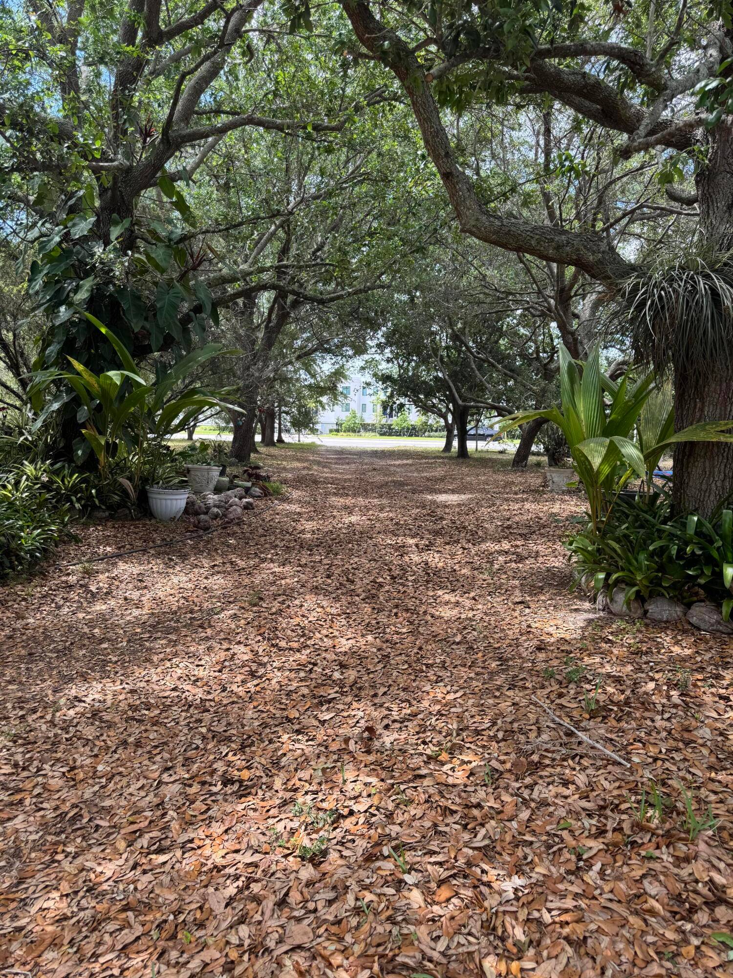 Estate with Endless Potential in GreenacresWelcome to this impressive 4 bedroom, 2 bathroom home offering an expansive 3, 487 square feet of living space.