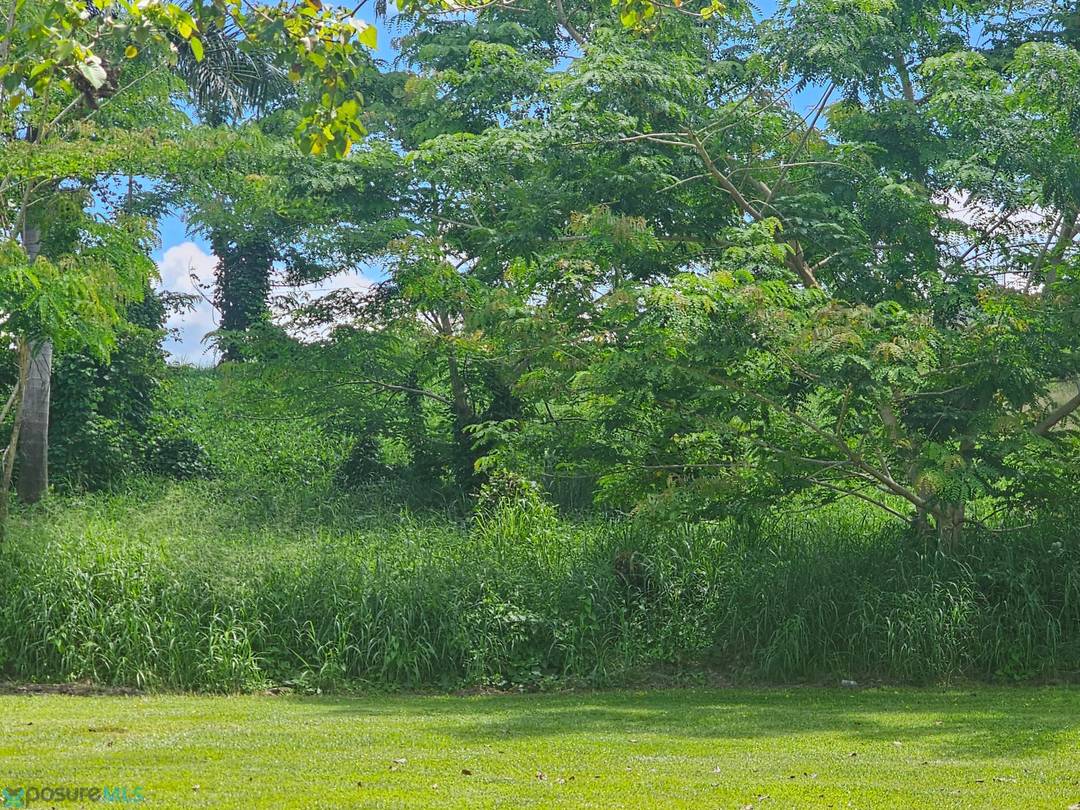 SECTOR MONTE GRANDE Land Cabo-Rojo