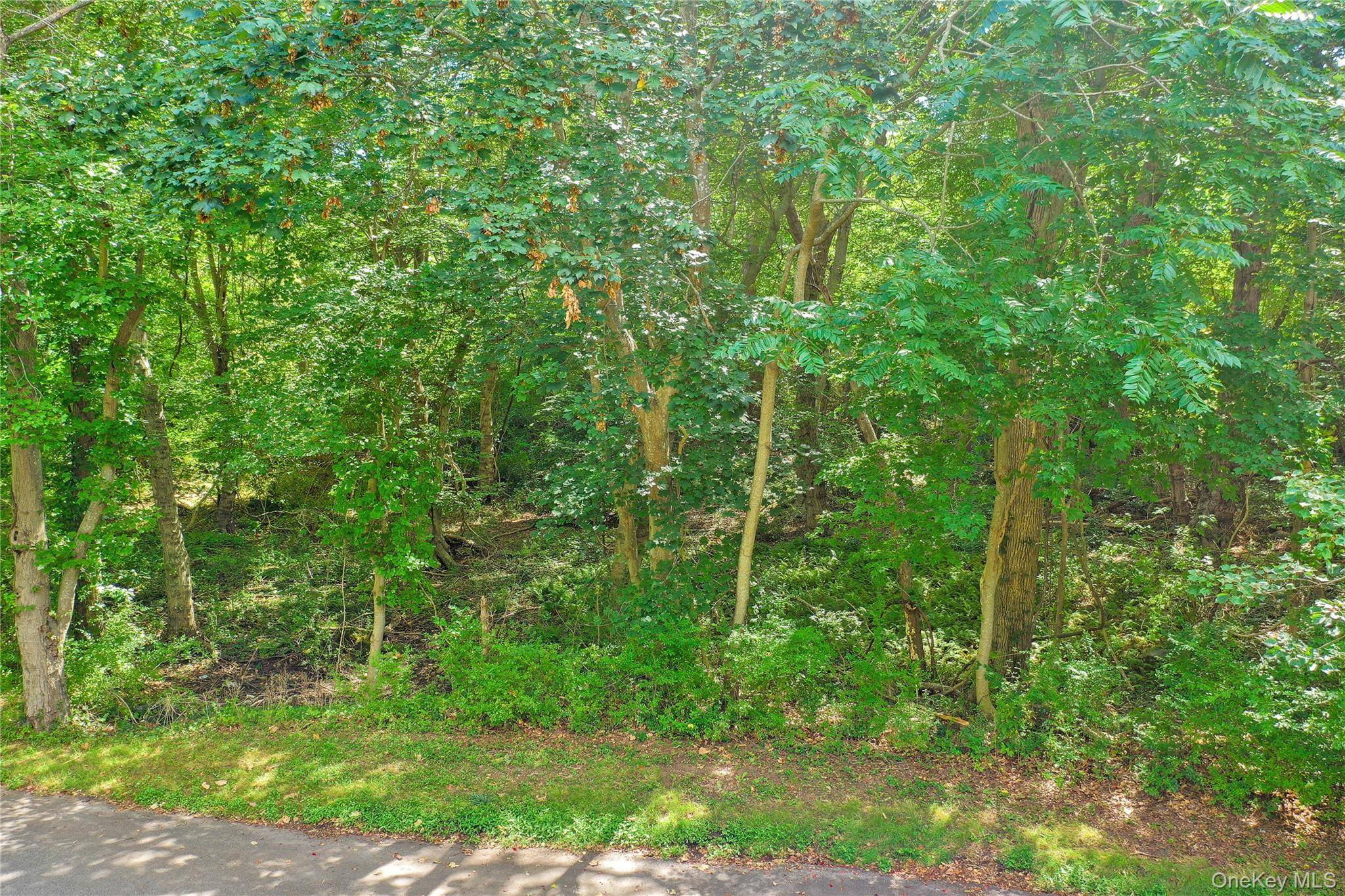 Build Your Dream Home In The Bucolic Area Of Eastern Shores.