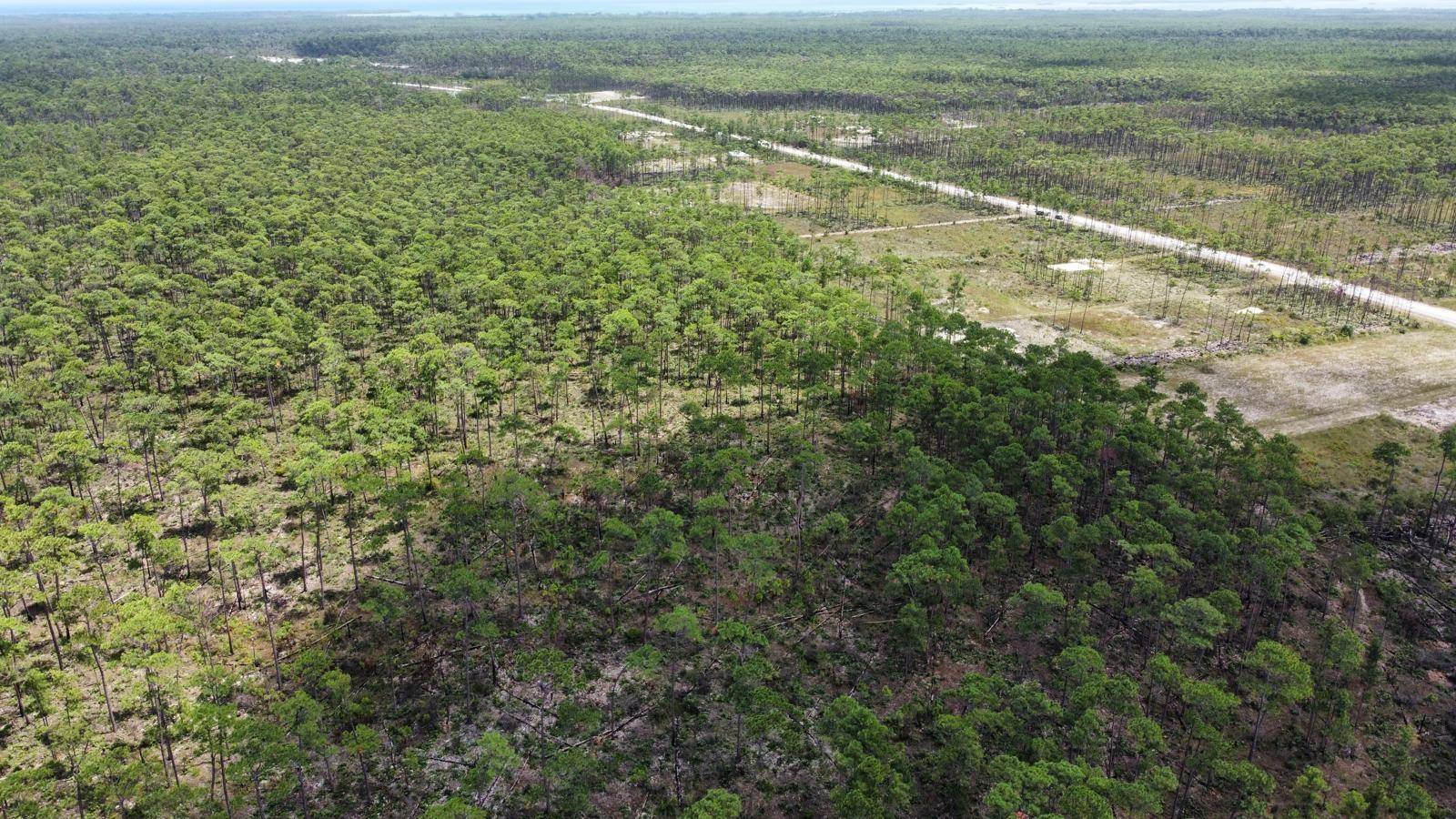 LOT  B QUEENS HIGHWAY Land Andros