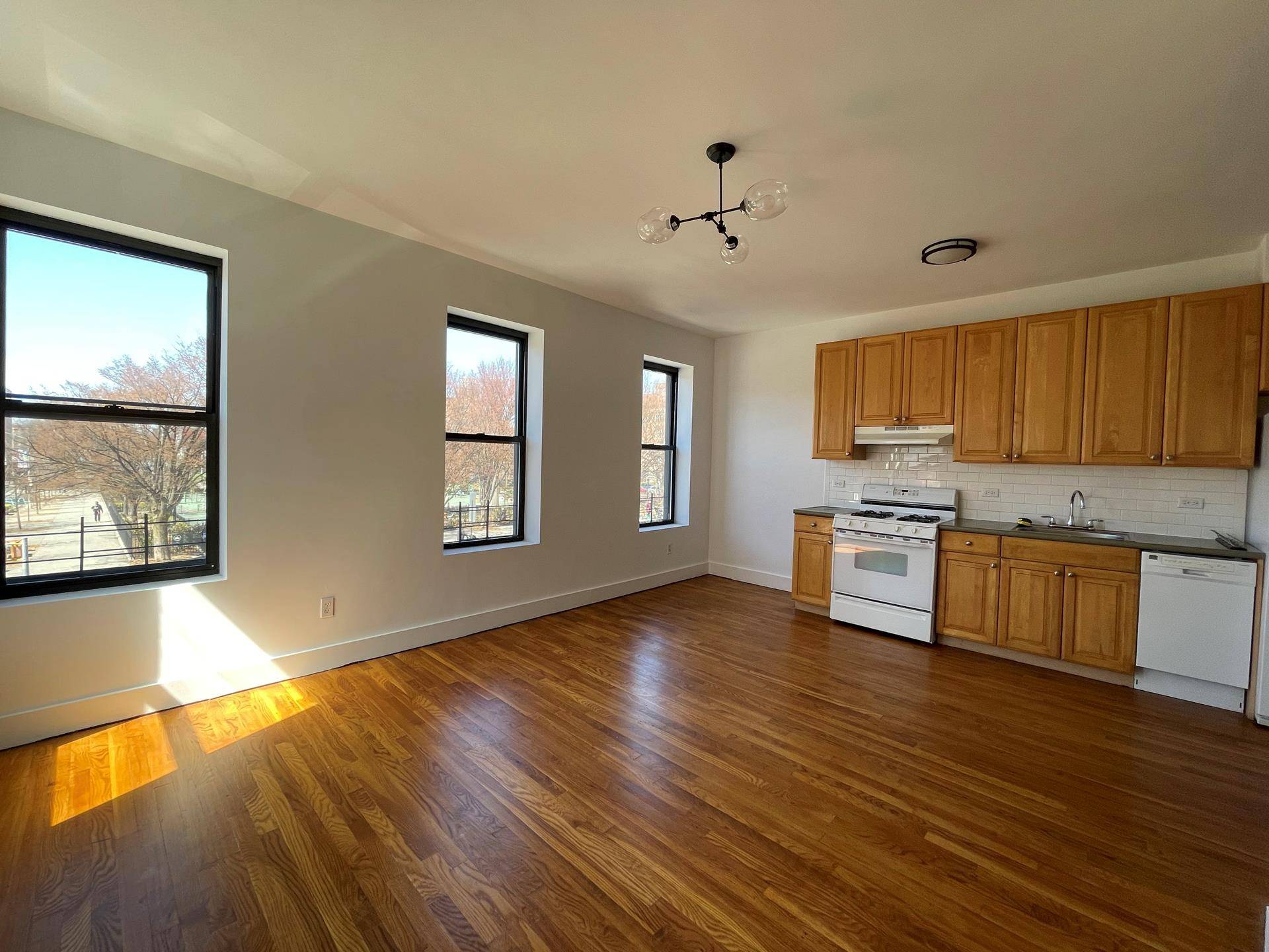 Center Slope 3 Bedroom overlooking JJ Byrne Park !