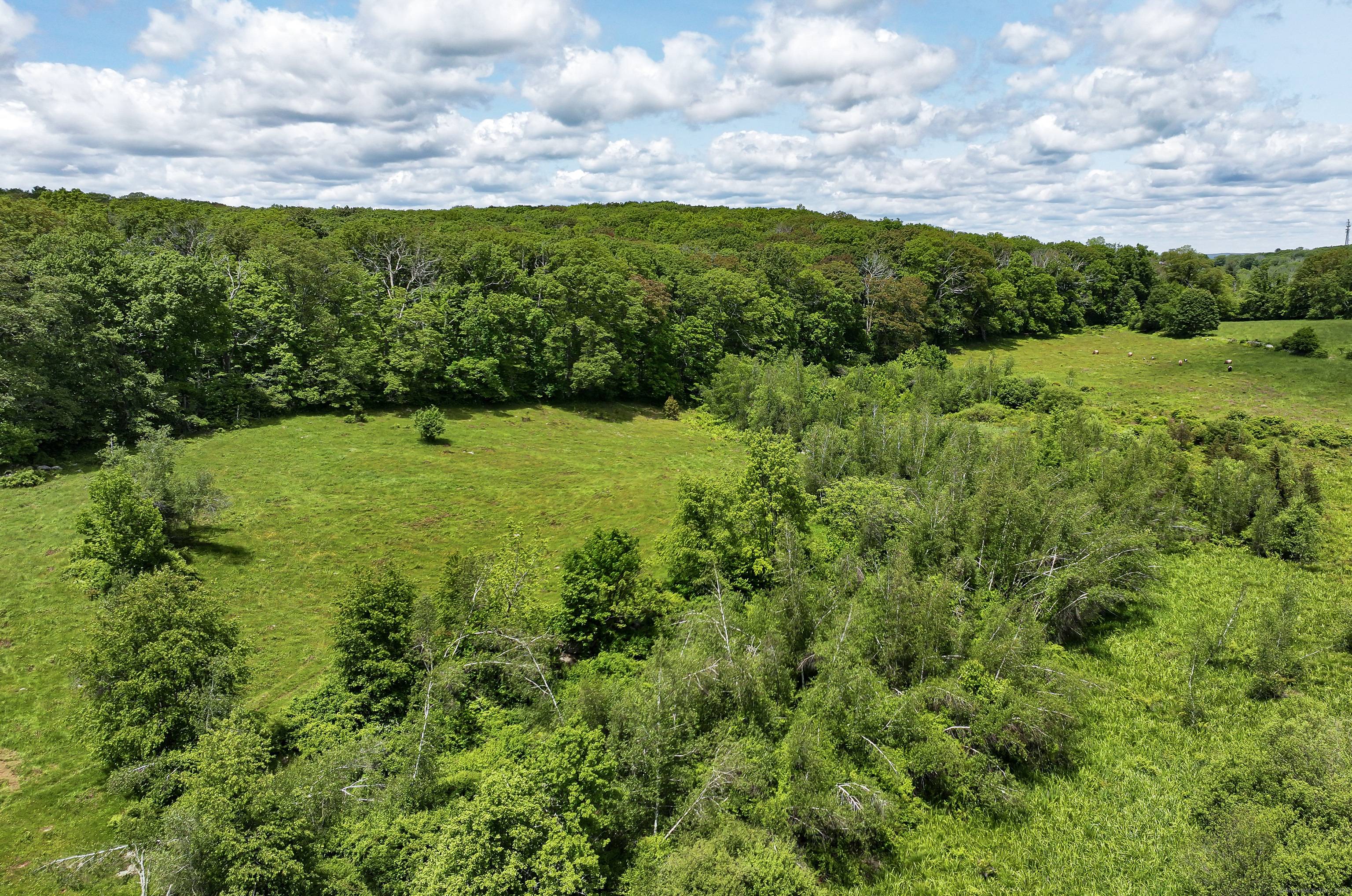 Set At the Intersection of 2 Bucolic Low Traveled Roads, this 25 Acre Pastoral Parcel Offers Total Privacy.
